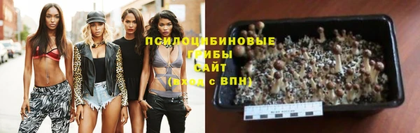 мяу мяу кристалл Медвежьегорск