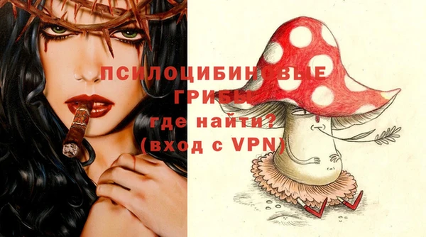 СК Мегион