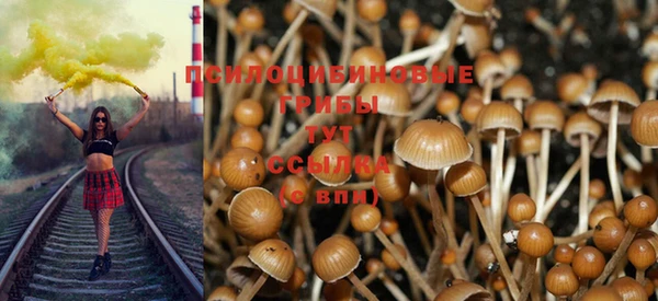 амфетамин Медногорск