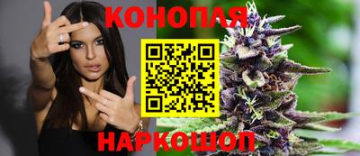 крисы Гусиноозёрск