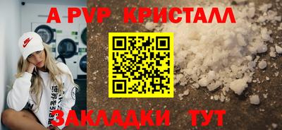 гашик Гусев