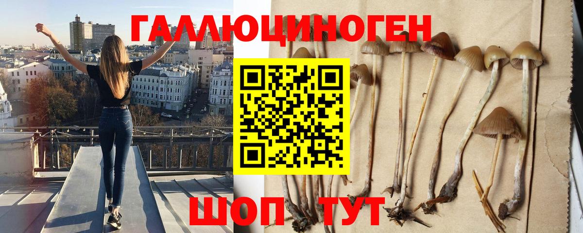 Нижнекамск  Галлюциногенные грибы Psilocybine cubensis  Псилоцибиновые грибы мухоморы  Вход с VPN 