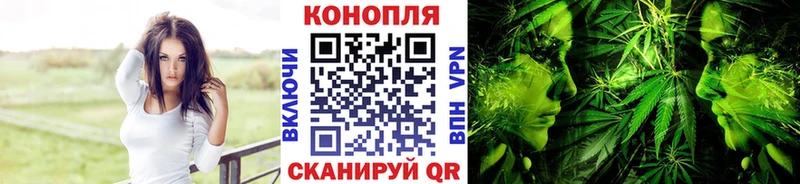Шишки марихуана White Widow  дарнет шоп  Нижнекамск 